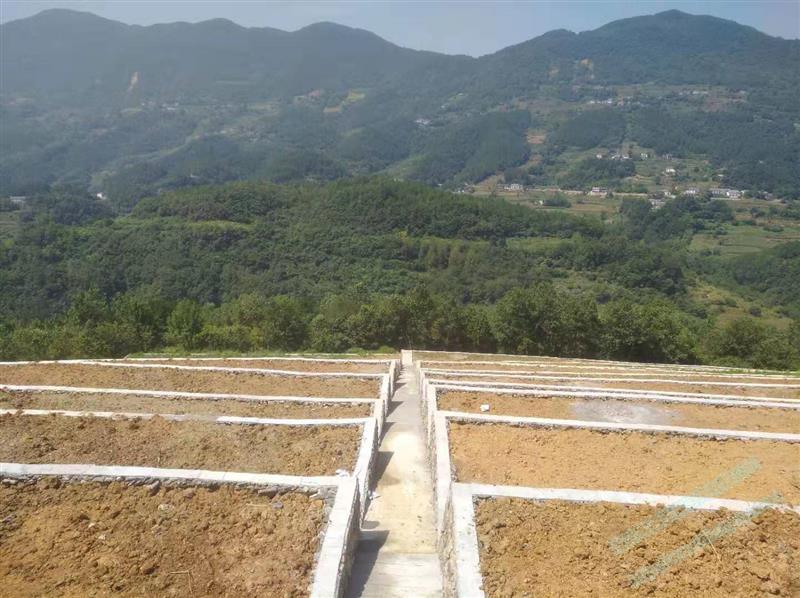 丹江口市2019年度坡耕地水土流失治理工程